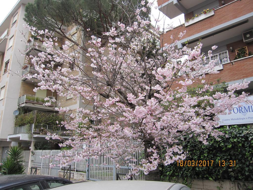 Magni N.30 Rome